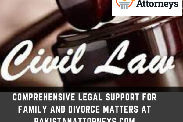 Criminal Law Explained Expert Criminal Lawyer Support in Pakistan (16)